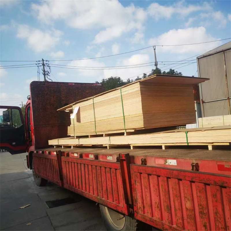 江西鹰潭贵溪至塔城货运专线，一站式物流服务助您成功